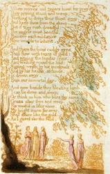 Cuando los lobos y tigres aúllan..., placa 17 de Canciones de Inocencia, 1789